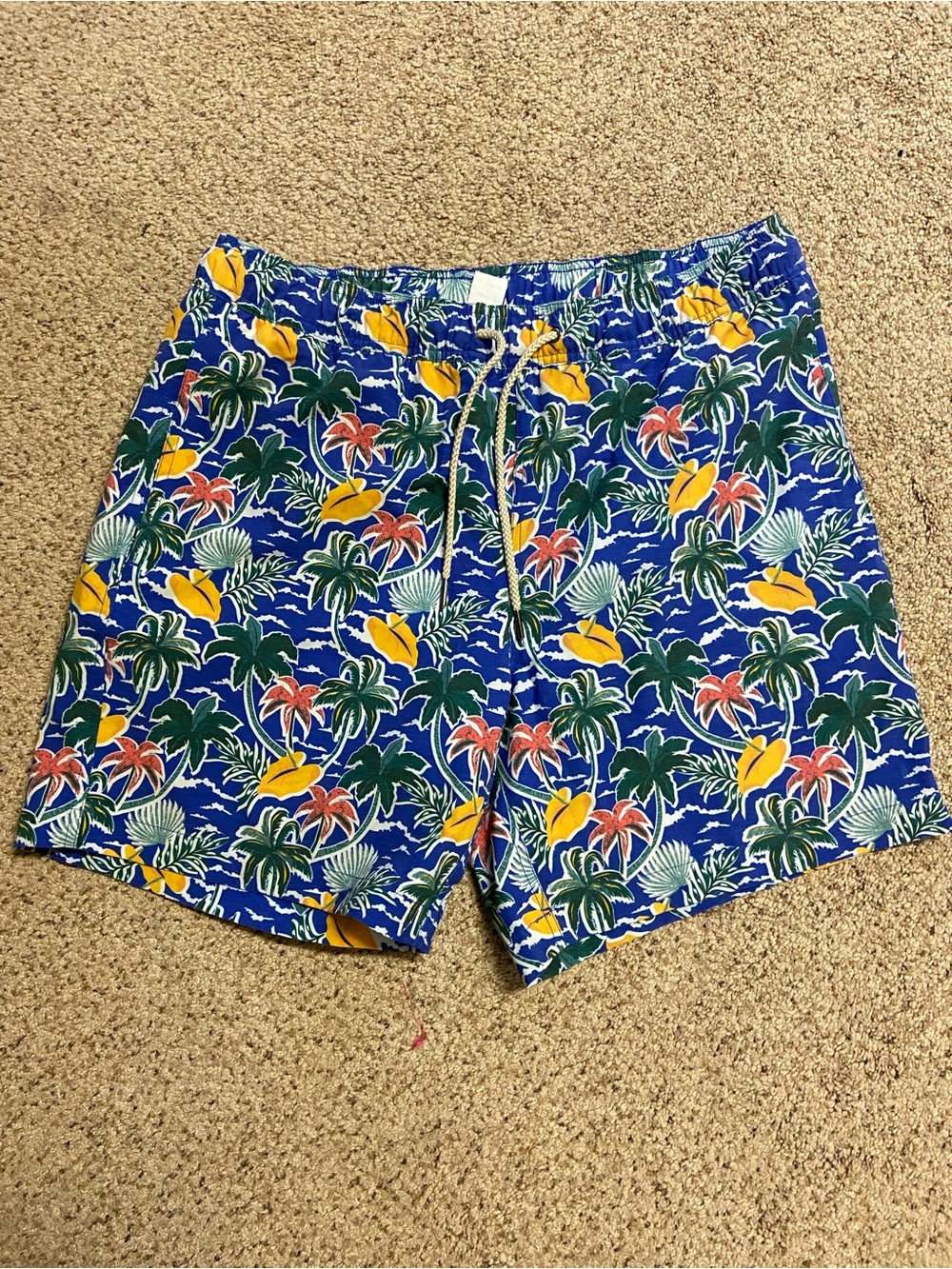 Fair Harbor Bayberry Men’s Swim Trunks Shorts Palm Trees XL